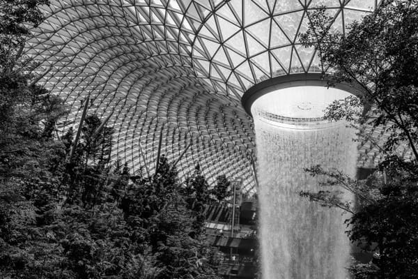 An Invite to Try MILO at Token2049